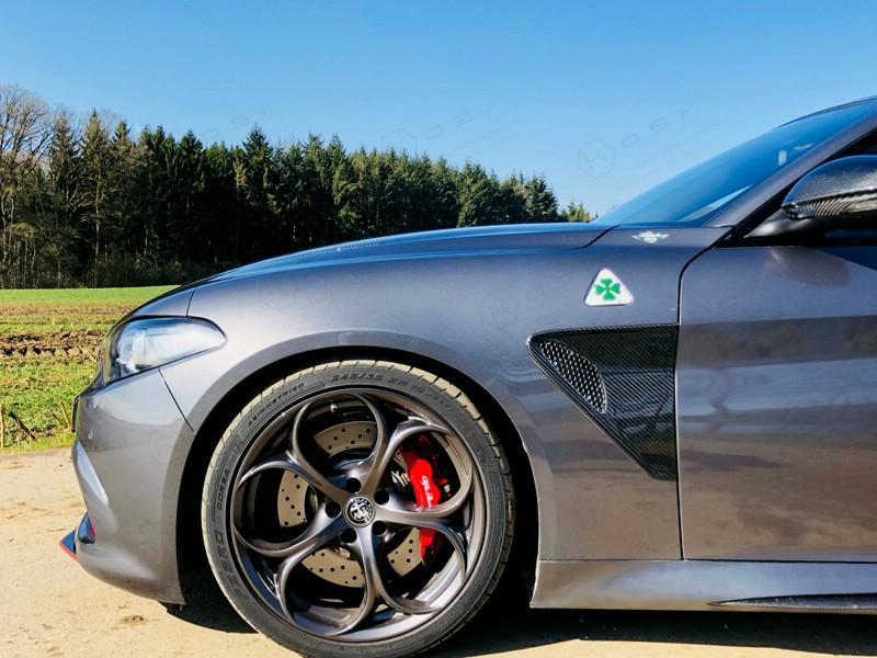 Alfa Romeo Giulia QV Fender Grille Frame - Carbon Fibre - TMC Motorsport