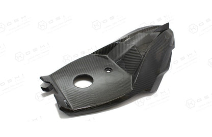 Harley Davidson V-ROD Back Tail - Carbon Fibre